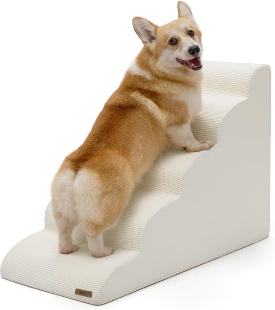 dog stairs certified