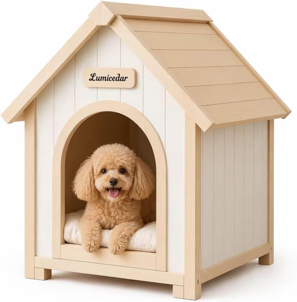 doggy house
