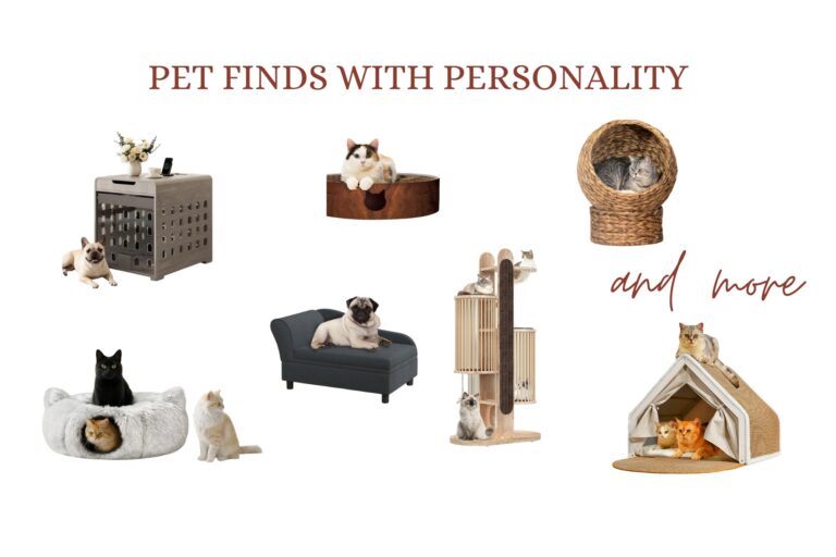 Pet Finds with Personality