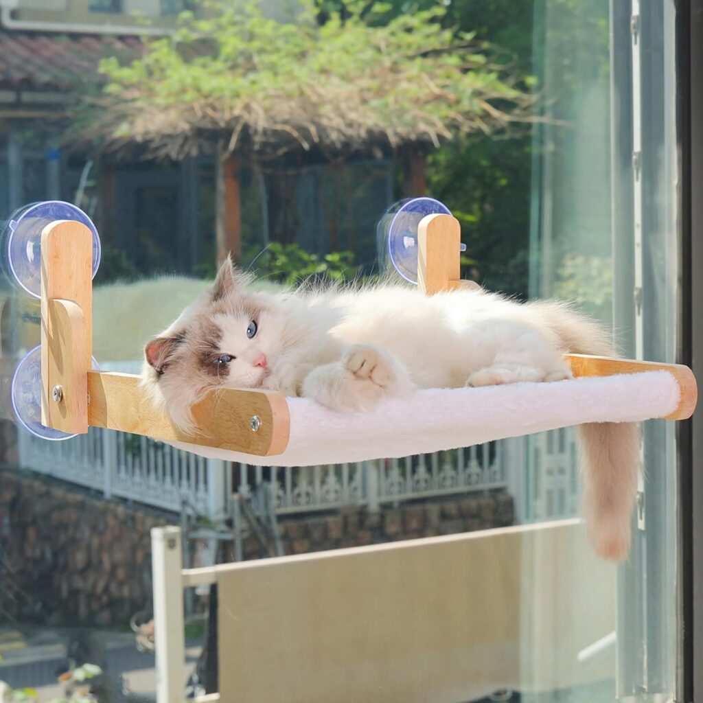 window wood perch