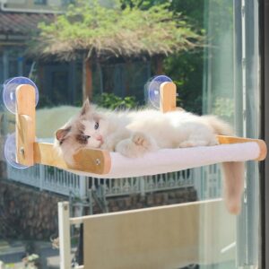 window wood perch