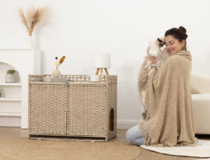 cozy moments with a ragdoll cat