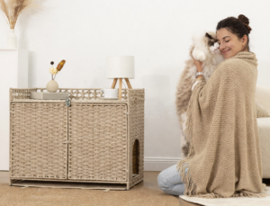 cozy moments with a ragdoll cat