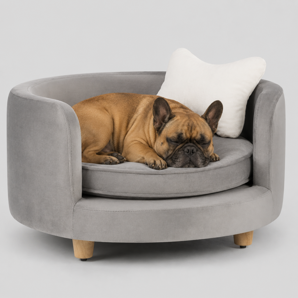 pet sofa with pillow