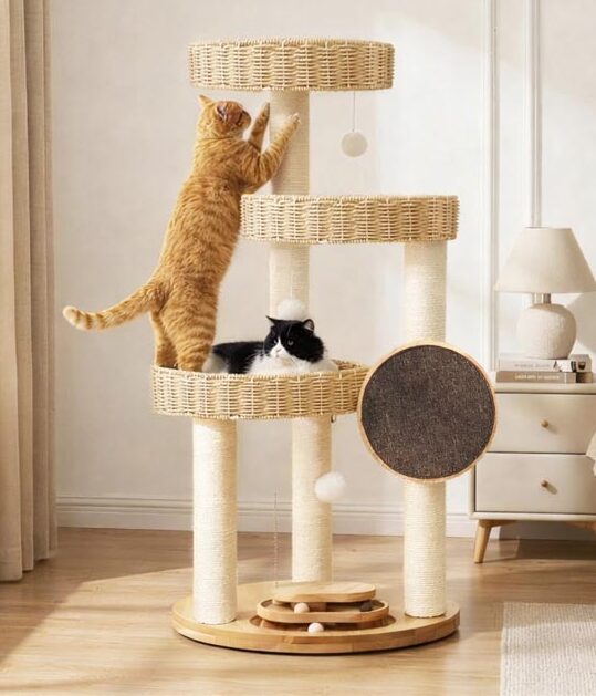 basket tree mod square