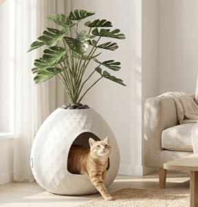 plant litter box