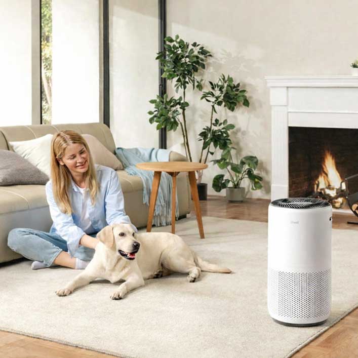 air purifier in home with pets