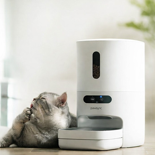 cat feed lounge