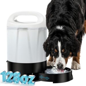 dog water
