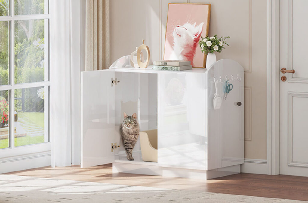 glossy cabinet cat