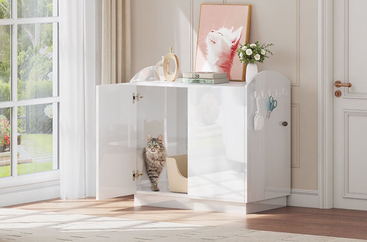 glossy cabinet cat