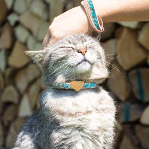 matching collar