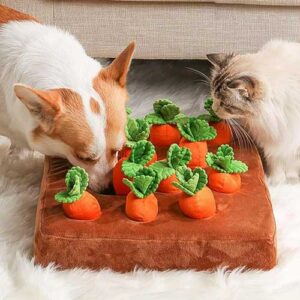 garden carrot snuffle toy