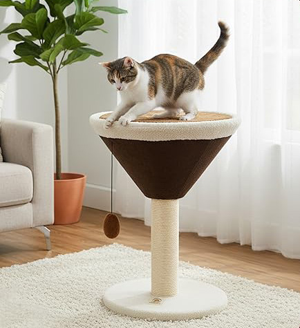 martini cat scratcher