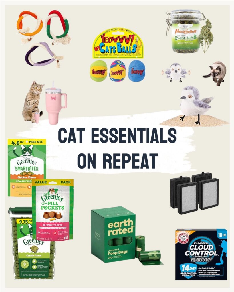 cat essentials