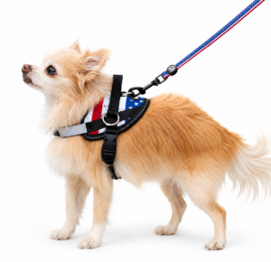 american flag no-pull dog vest