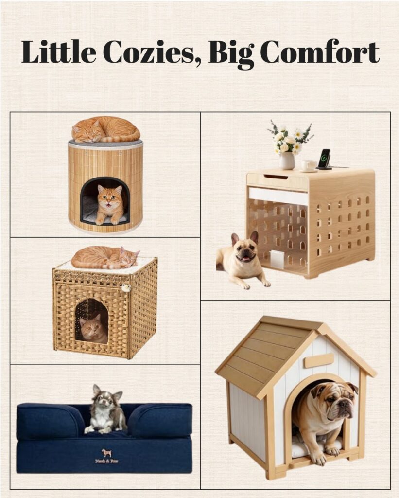 little coziessf