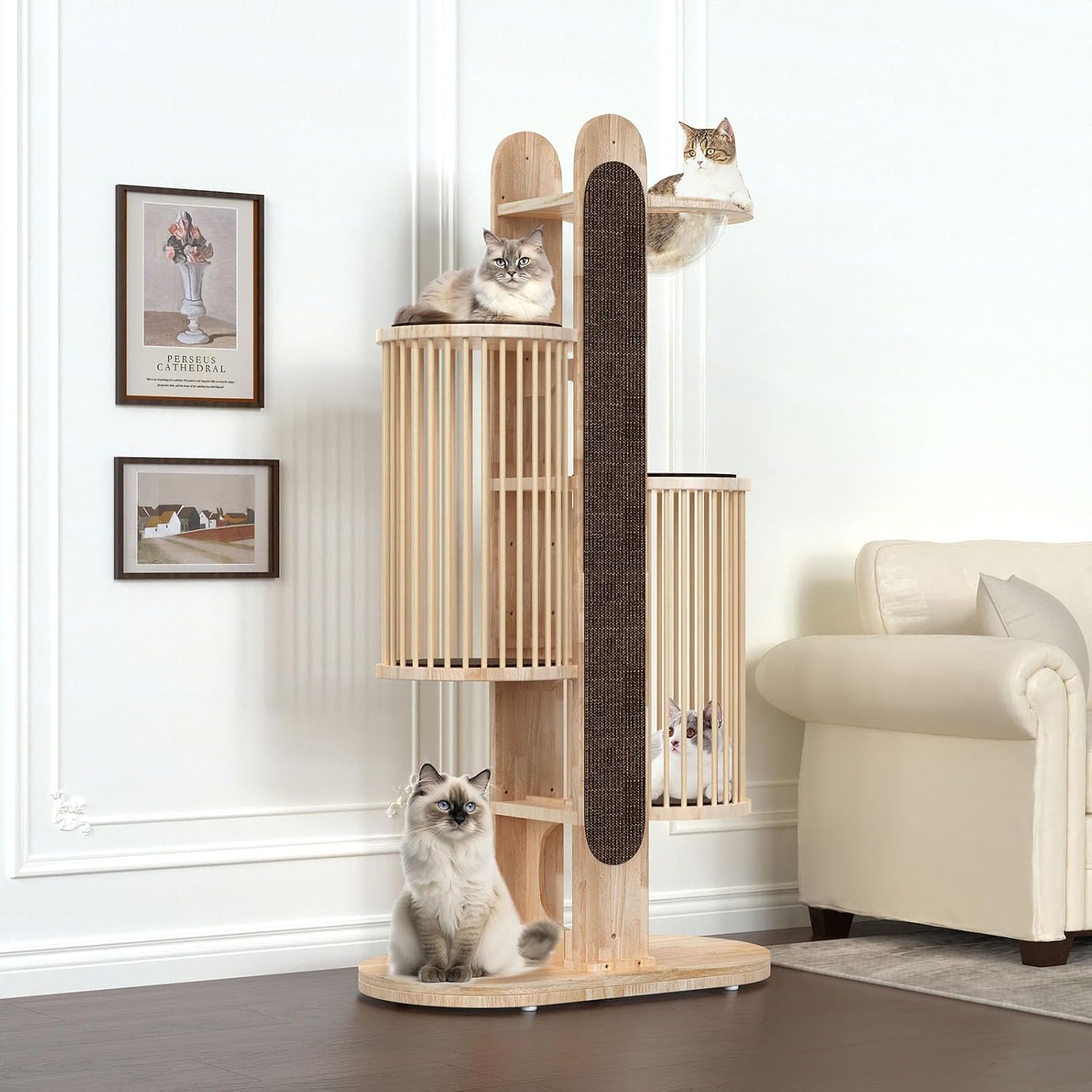 mod solid wd tree brn