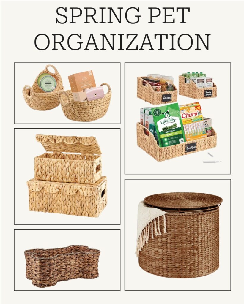 organizers sf