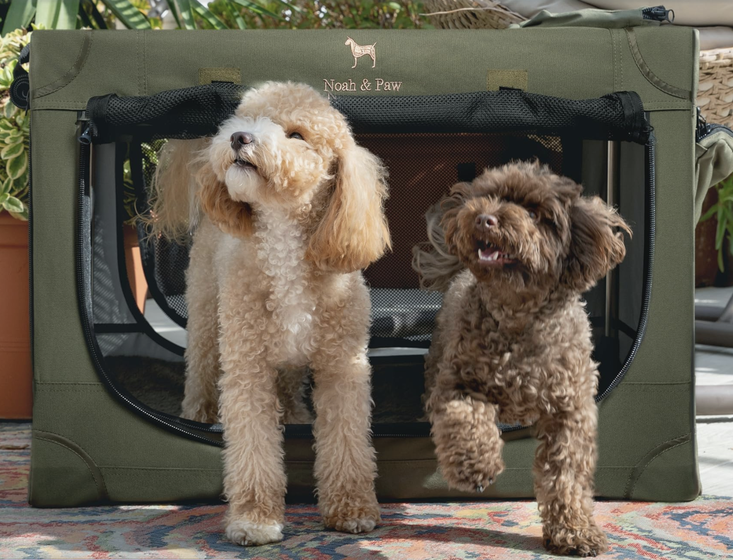 noah & paw portable dog crate