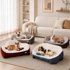 aurapaws beds