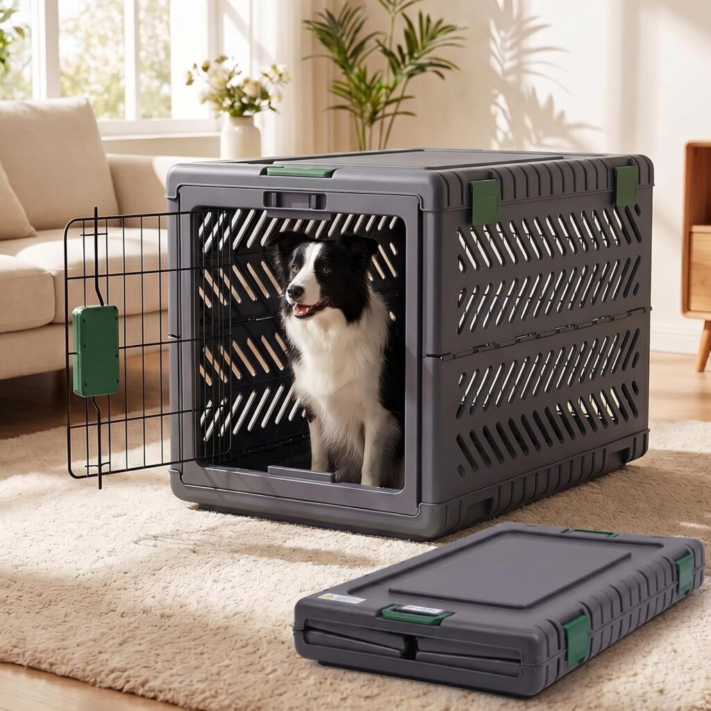 collapsible dog travel crate