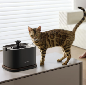 petlibro drinking fountain