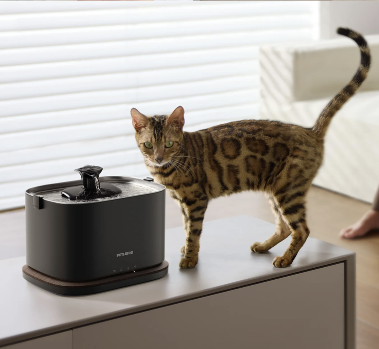petlibro drinking fountain