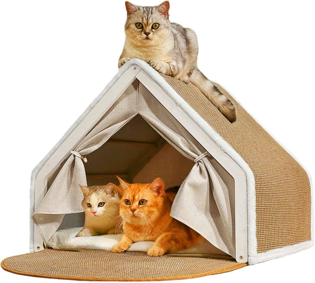 cat tent